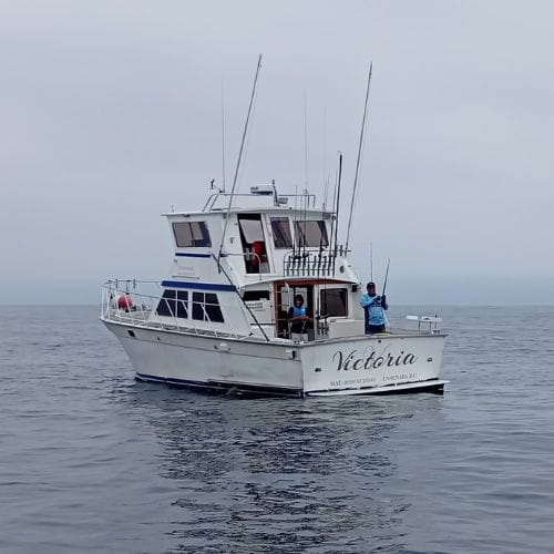 baja-sportfishing-ensenada baja-sportfishing-ensenada